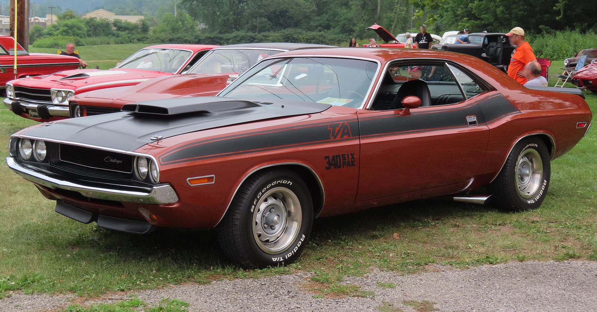 Dodge Challenger 1970 Image