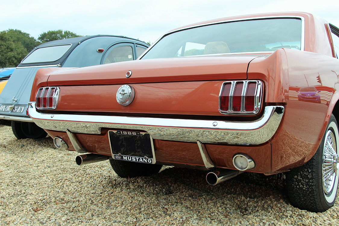 Face arrière - © photo : Michel Belllamy Image