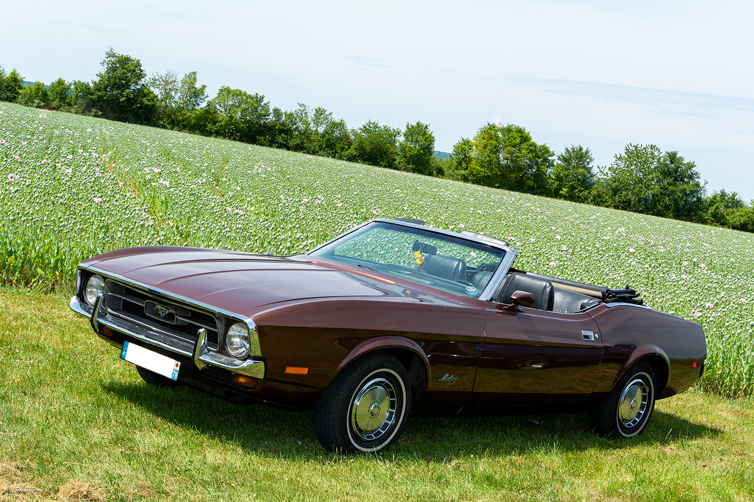 Vue de profil Cabriolet 1971 - © photo : Patrick Pinte Image