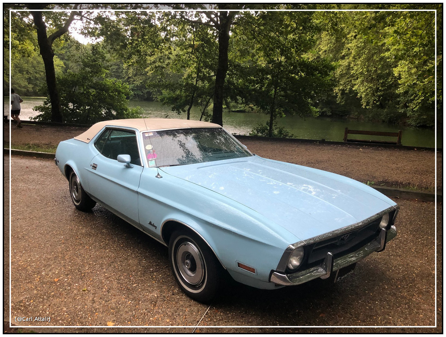 Vue de profil Grande 1972 - © photo : Carl Attali Image